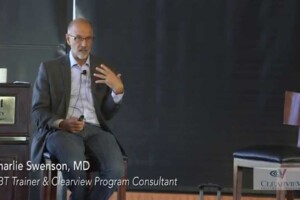 The Spirit of Dialectics in DBT Therapy The Spirit of Dialectics in DBT Therapy